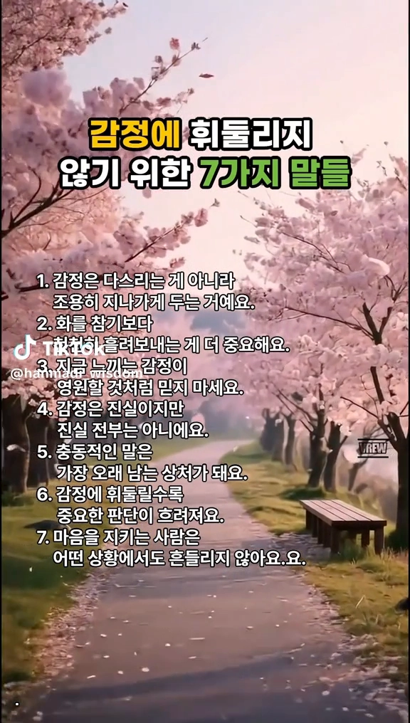감정에 휘둘리지 않기 위한 말들
