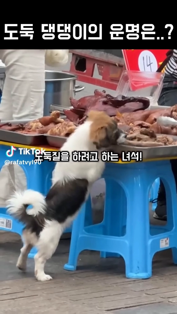 눈치보며 도둑질
