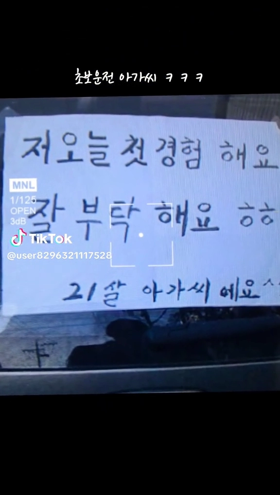 초보운전