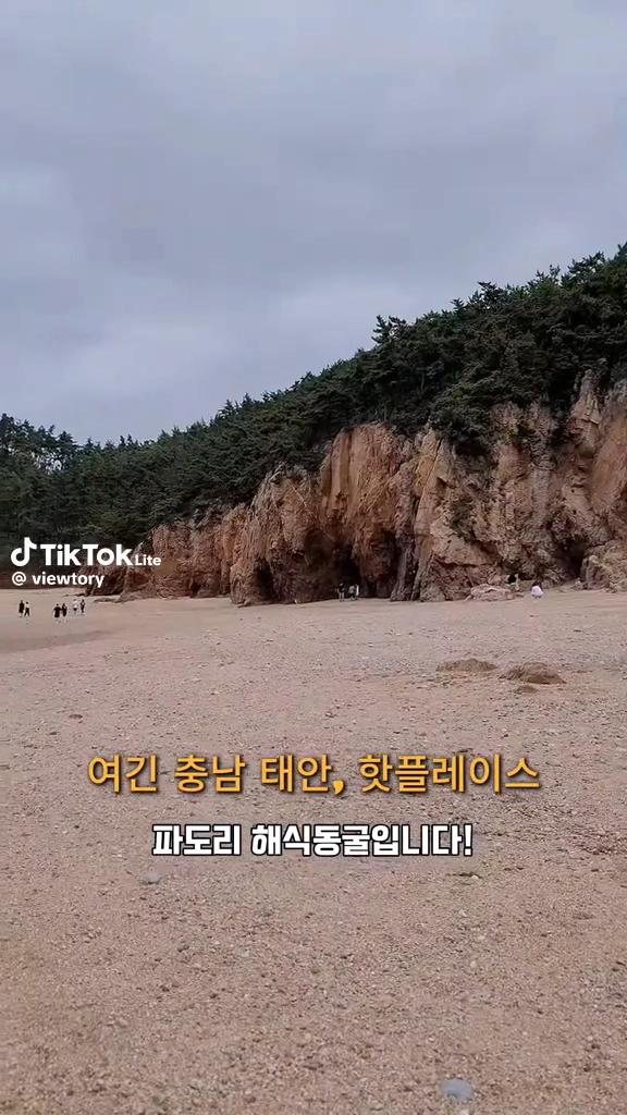 태안핫플