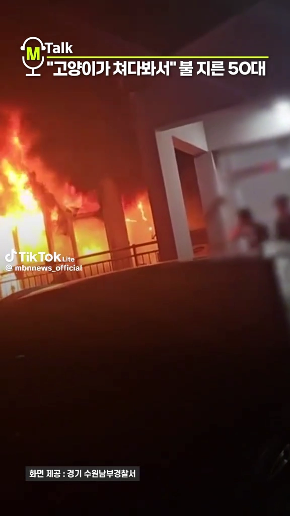 고양이가 쳐다봐서 불지른 50대