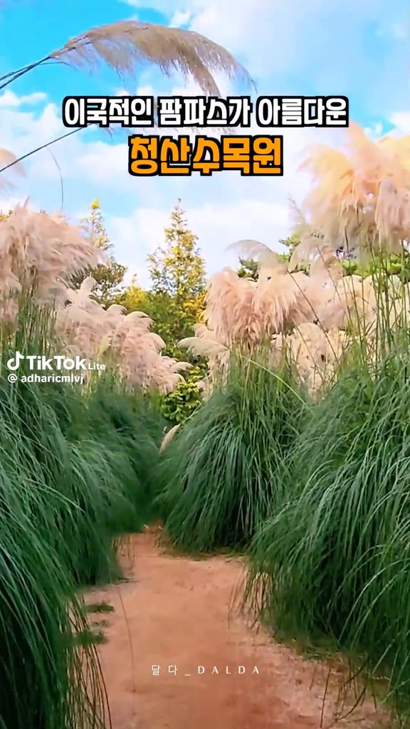 청산수목원
