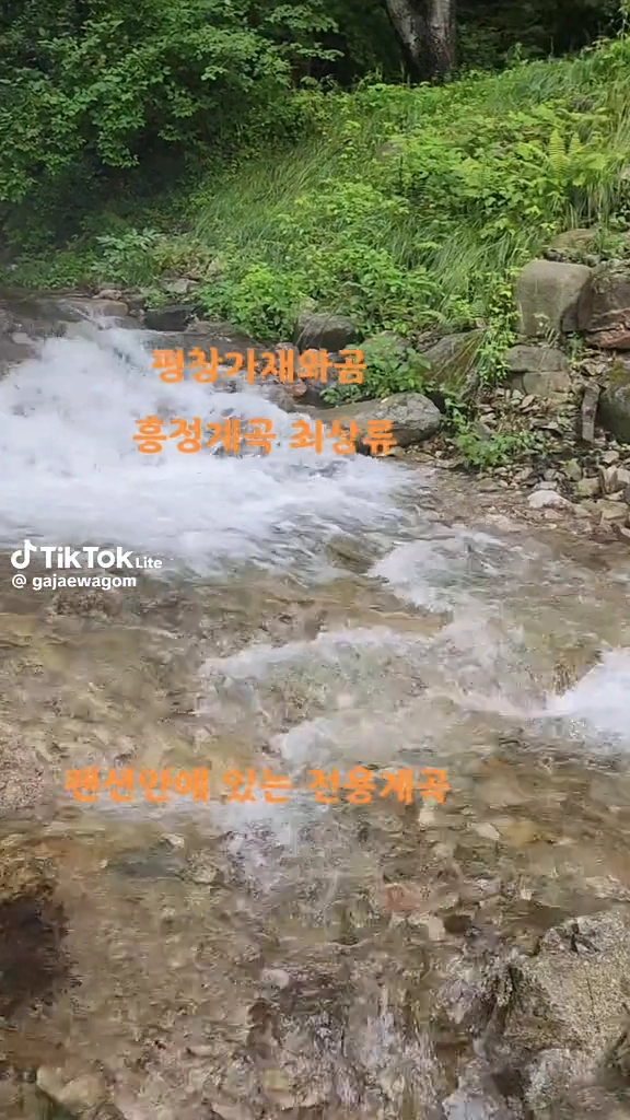 평창 가재와곰펜션