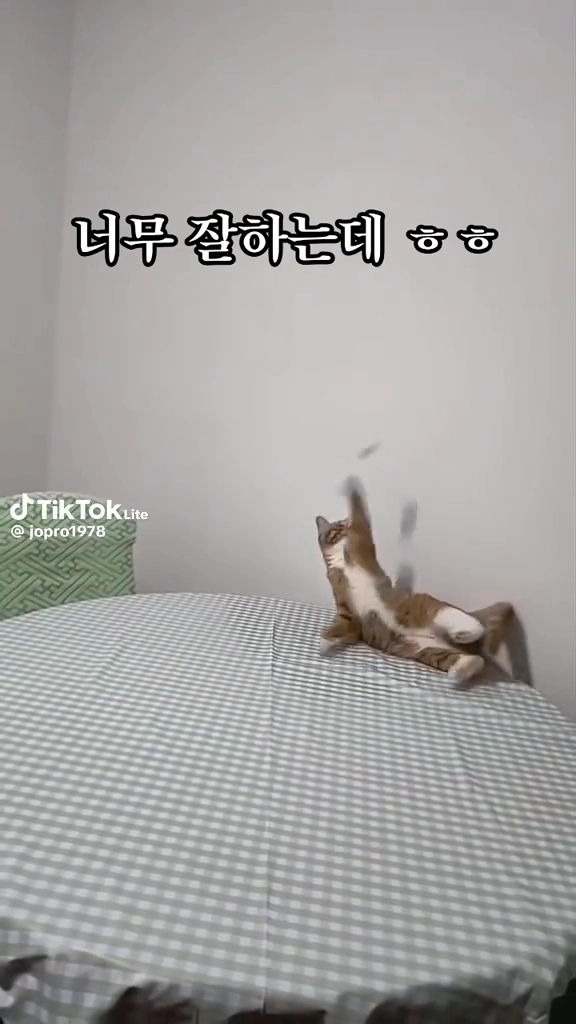 나보다 잘하네