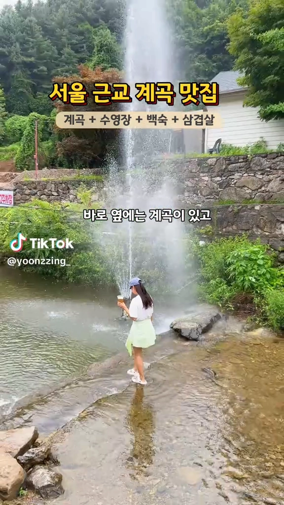 돌고래늘품