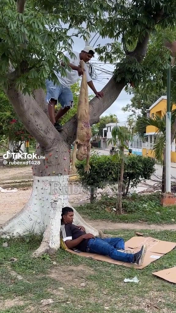 심장약한 사람 죽을지도