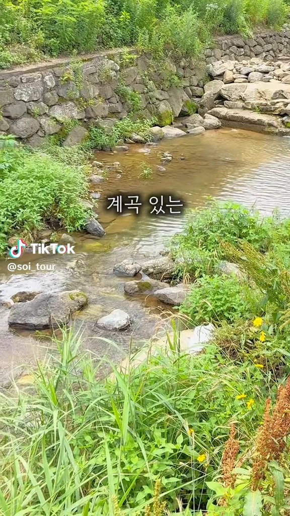 계곡식당