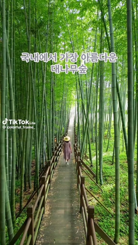 가좌산 대나무숲길