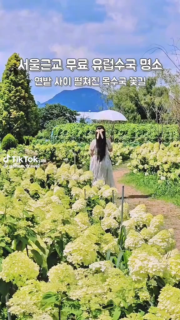 연꽃테마파크