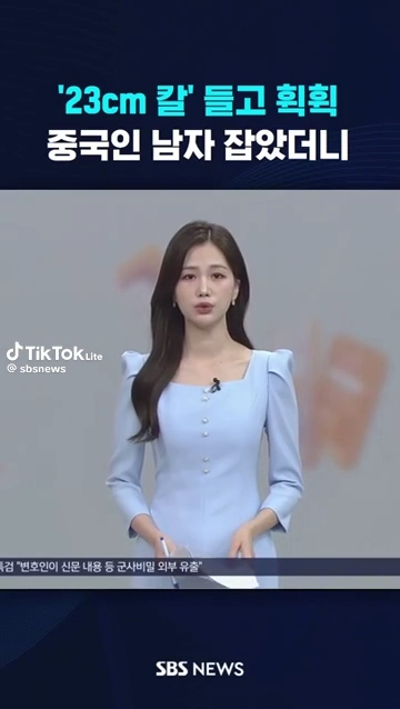 23cm 칼들고 휙휙