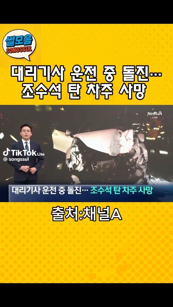 대리기사 운전중 돌진...차주 사망