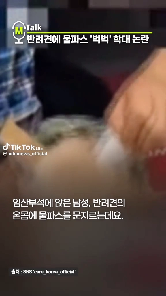 반려견에 물파스 벅벅