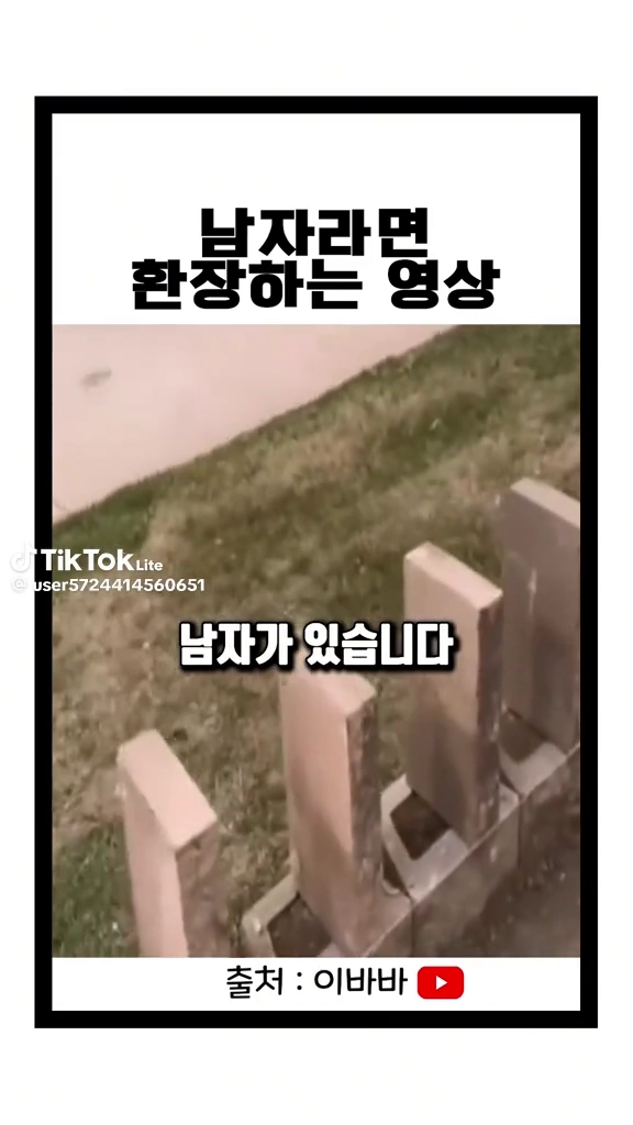 상남자식 도미노