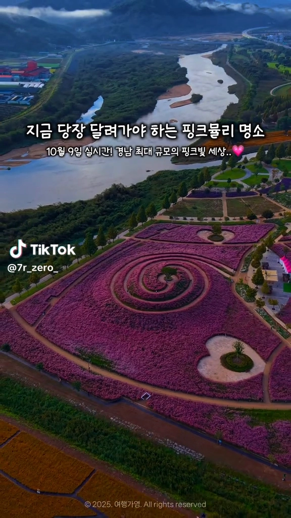 핑크뮬리명소