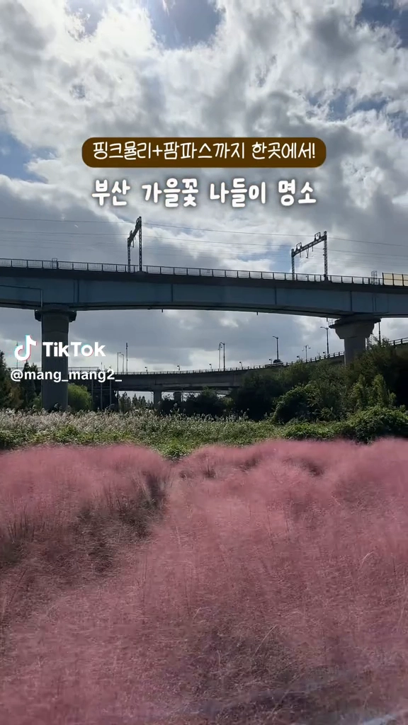 대저생태공원