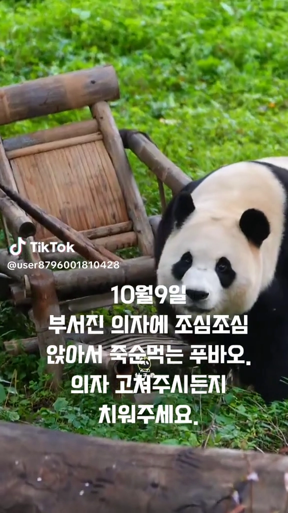 푸바오