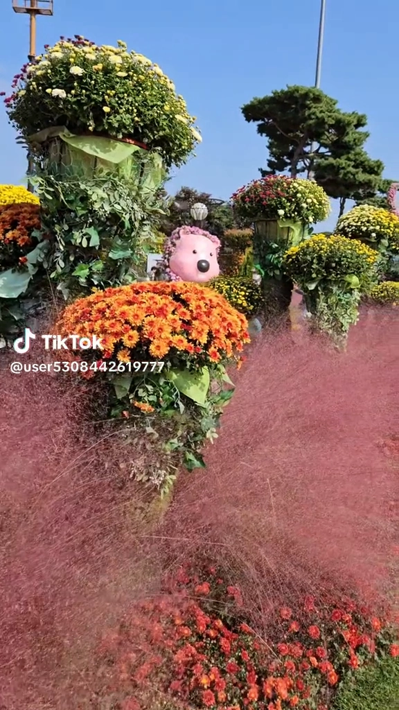 함평엑스포