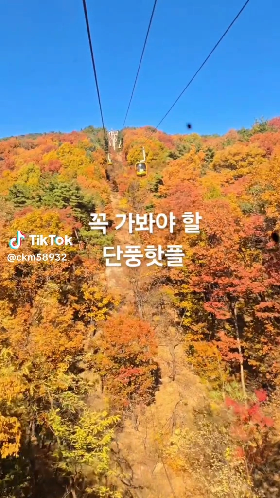 단풍명소