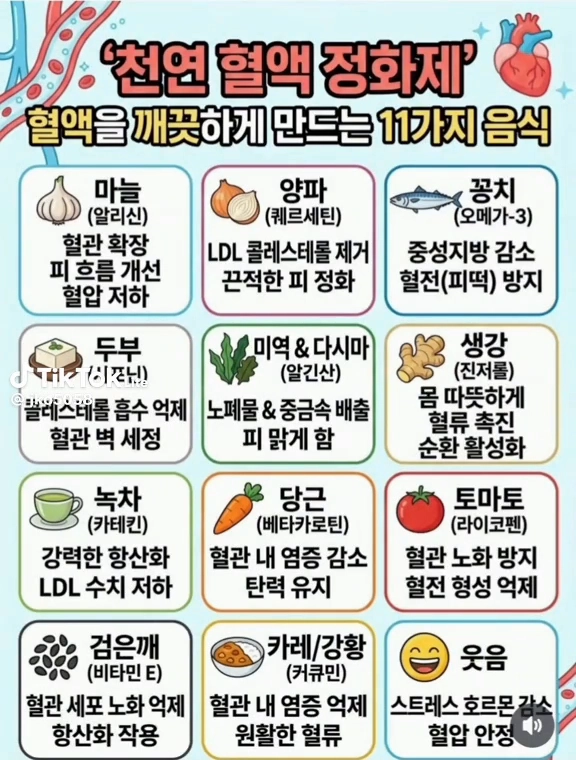 천연혁액정화제