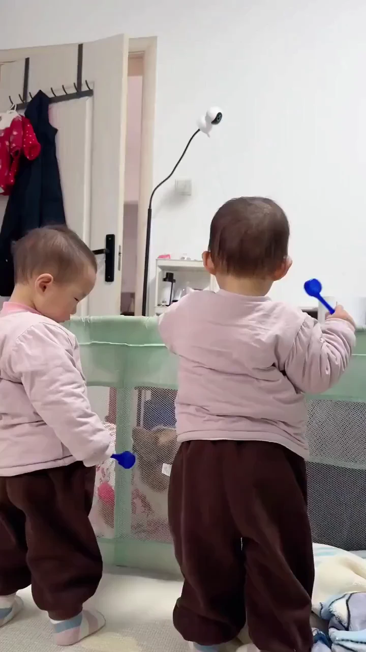 쌍둥이를 처음 본 강아지