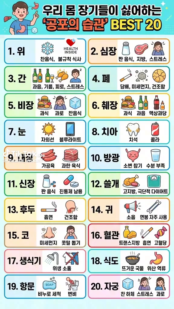 우리몸 장기들이 싫어하는것들