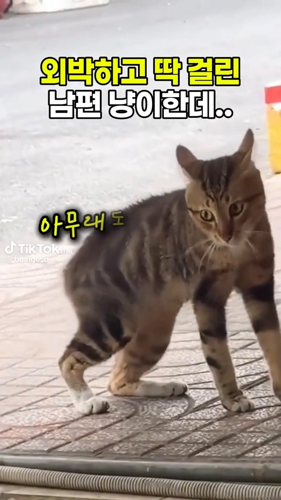 외박금지
