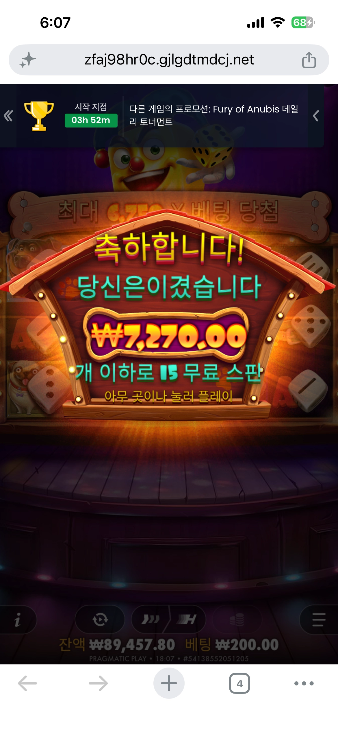 도그하우스 배당 실화냐