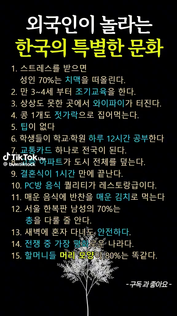 외국인이 놀라는 한국의 문화