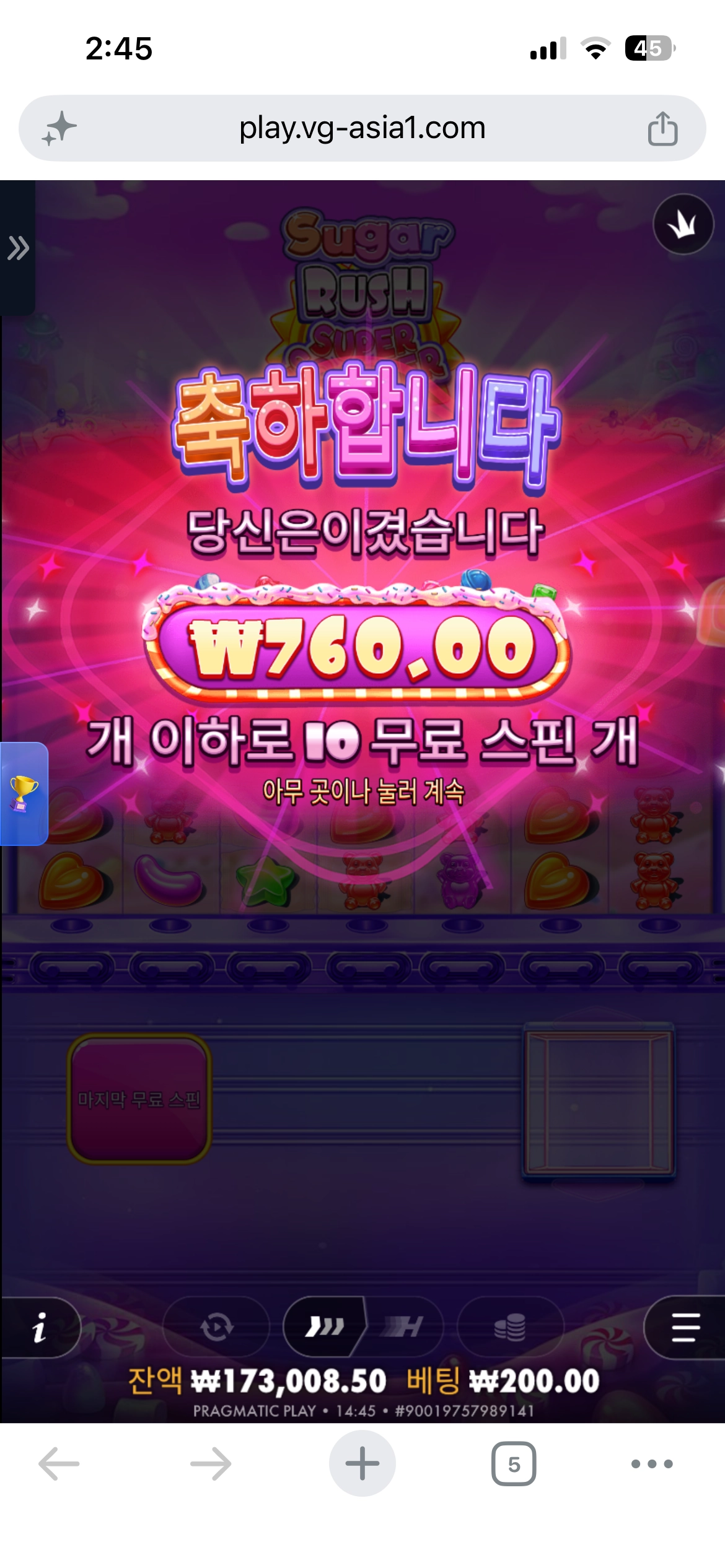 슈가스캐터 후기