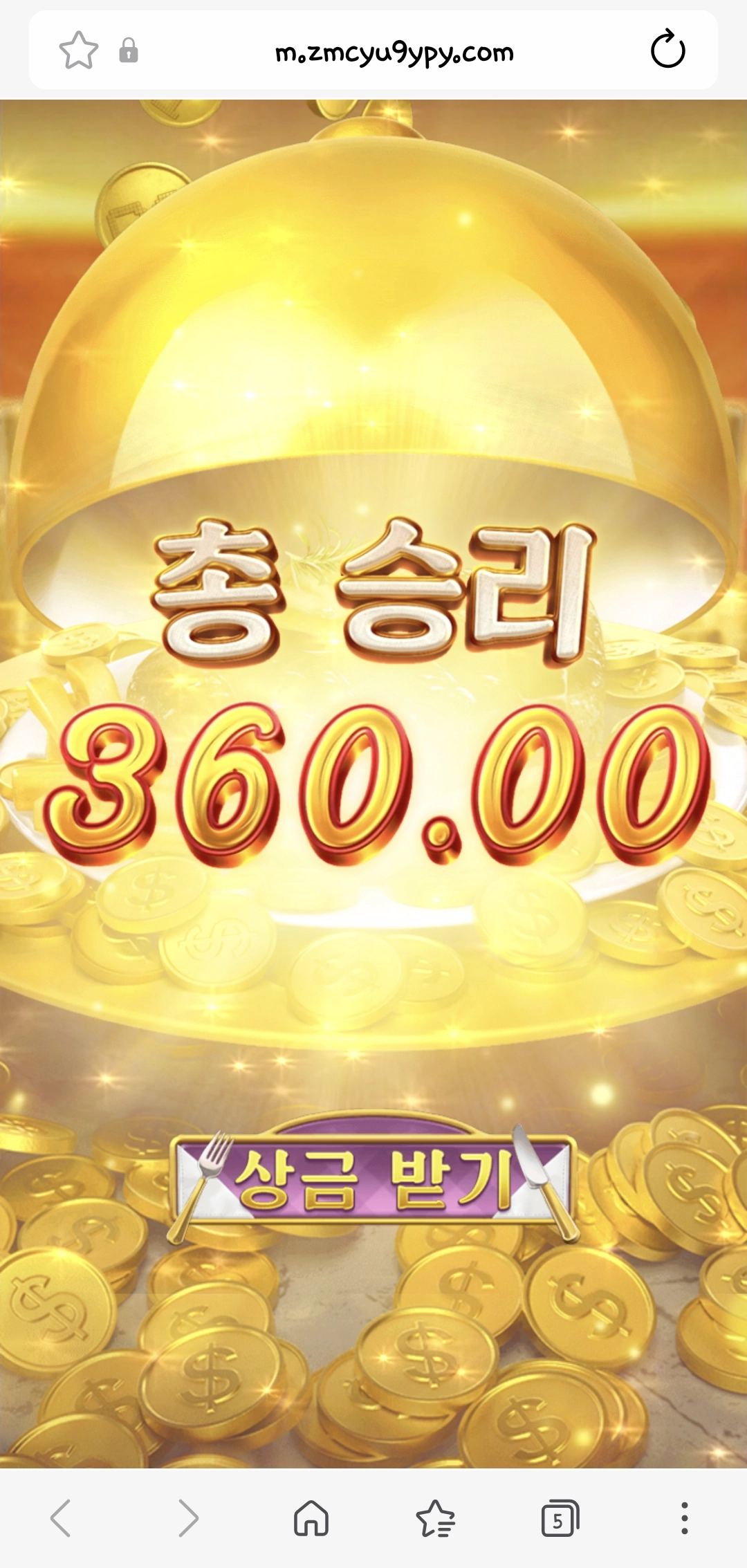 피지딜라이트 후기