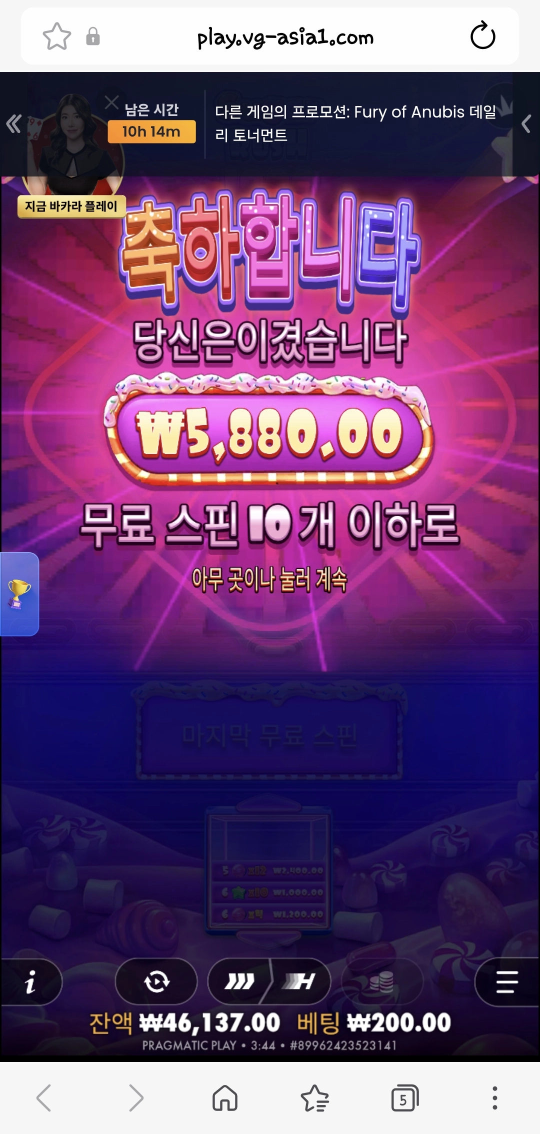 와이라노