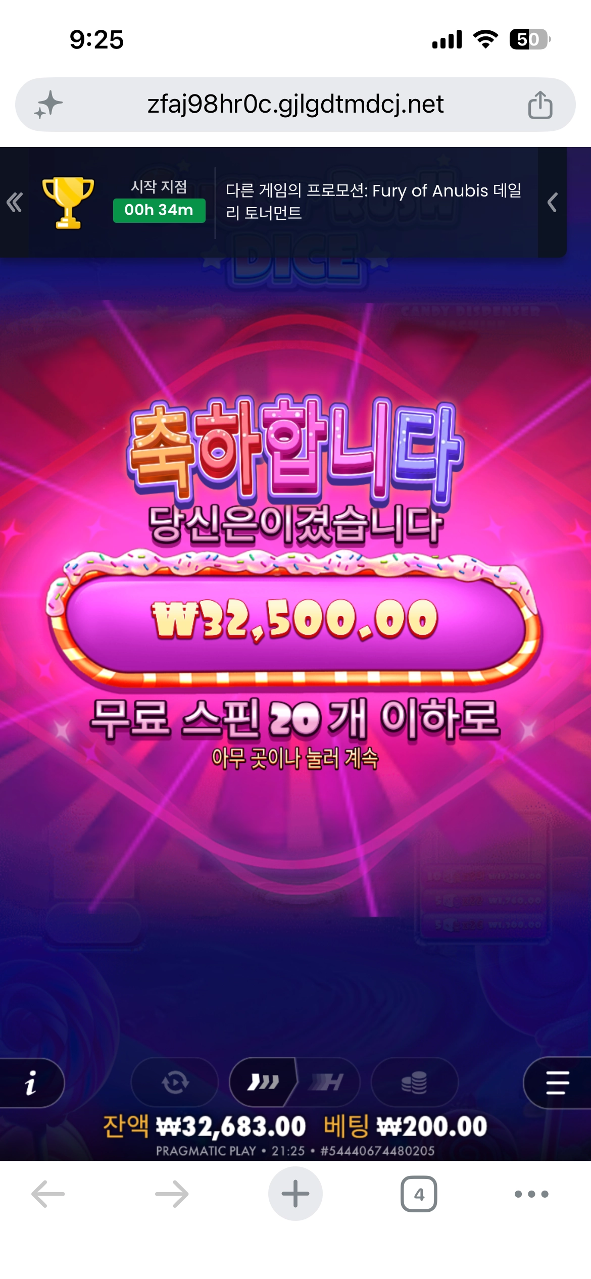 슈가다이스 후기