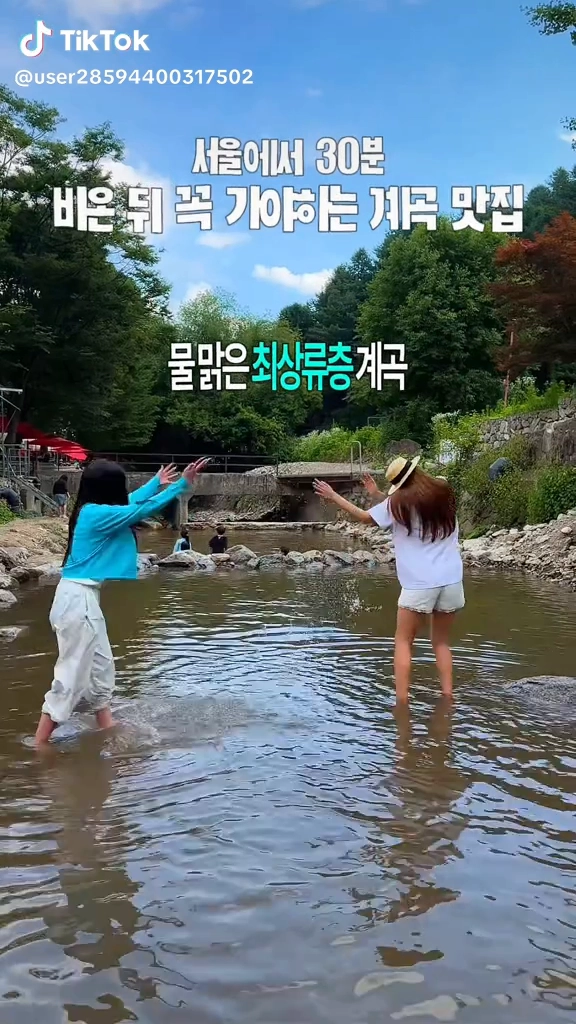돌고개늘품