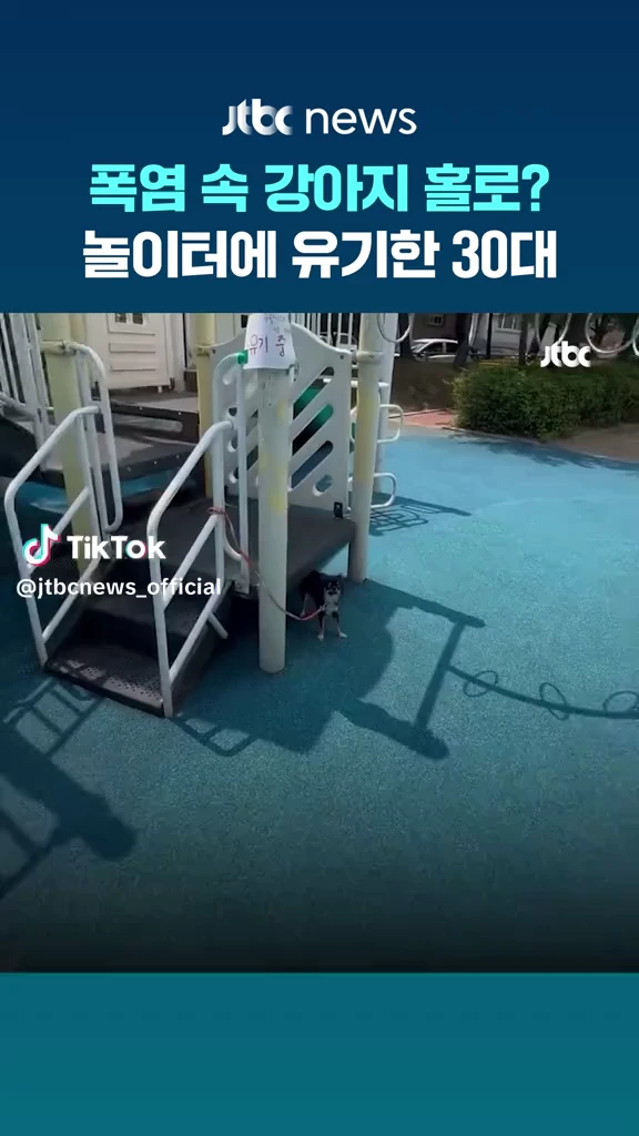 폭염속 유기견