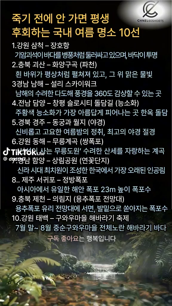 국내 여름명소