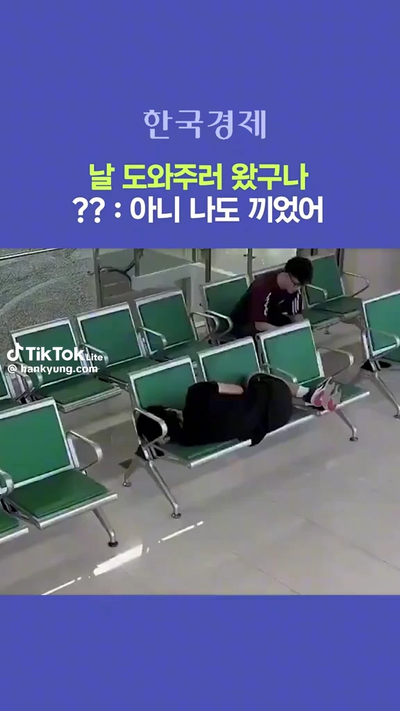 덤앤더머