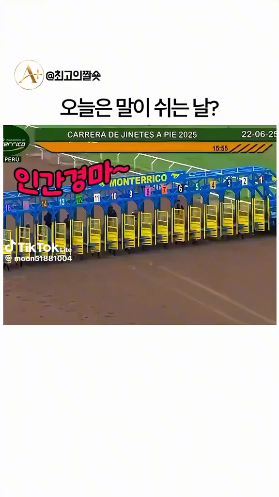 경마