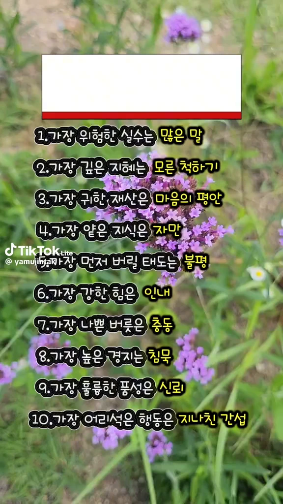 인생지혜